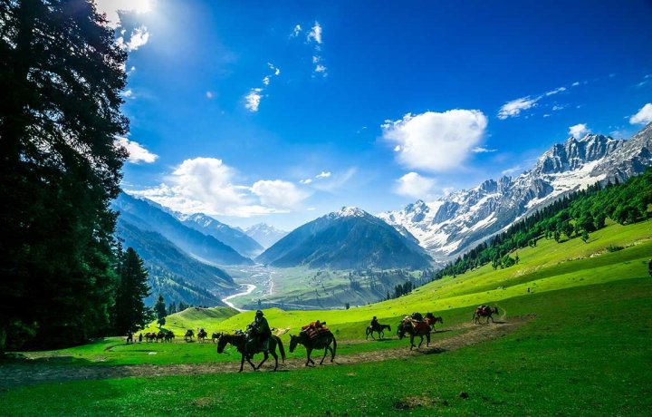 Kashmir Tour Package Ex - Katra 